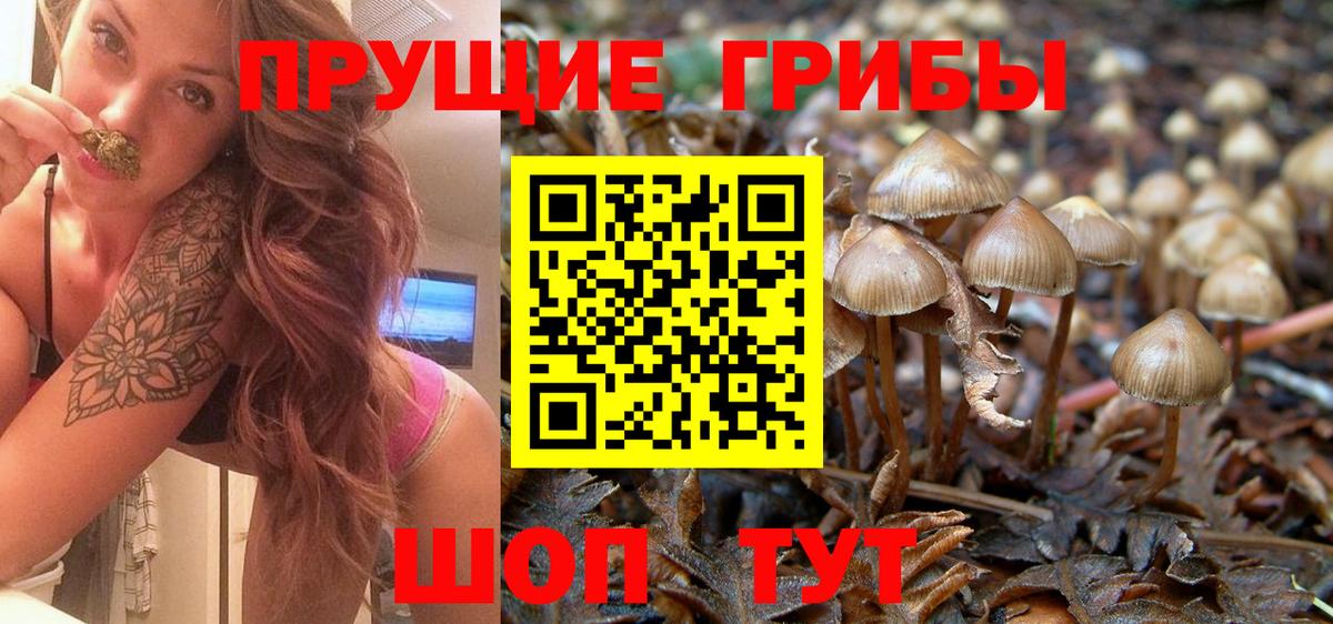 Альметьевск  Псилоцибиновые грибы Cubensis  Галлюциногенные грибы мухоморы  что такое наркотик  Вход с VPN 